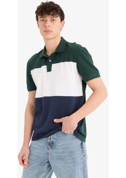 %100 Pamuk Regular Fit Polo Yaka Bloklu Kısa Kollu Tişört D7940AX25SP indirimleri