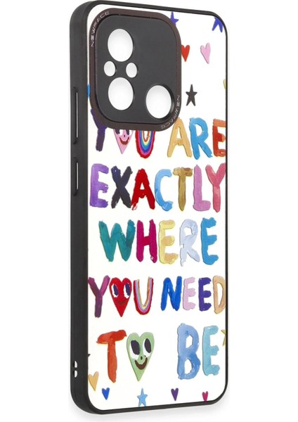 Newface Xiaomi Redmi 12C Kılıf Mirror Desenli Kapak - Mirror - 10