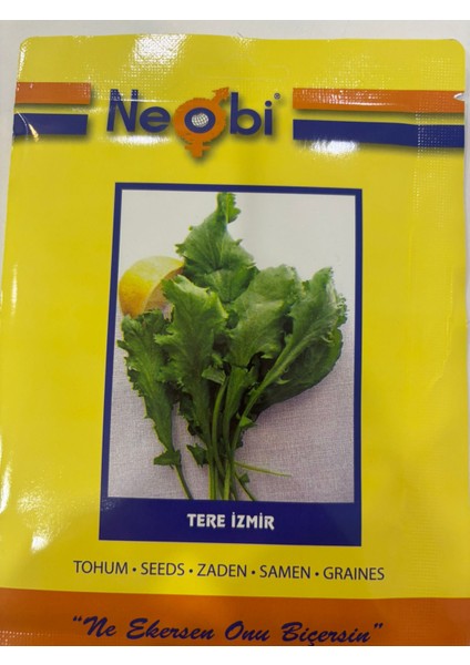 Sebze Tohumu modelleri