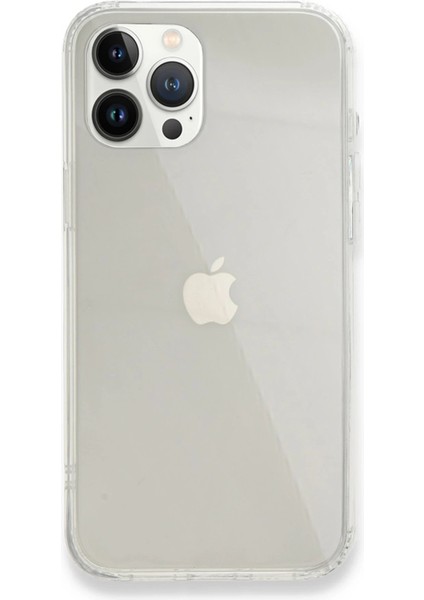 Newface iPhone 13 Pro Max Kılıf 3D Vera - Şeffaf