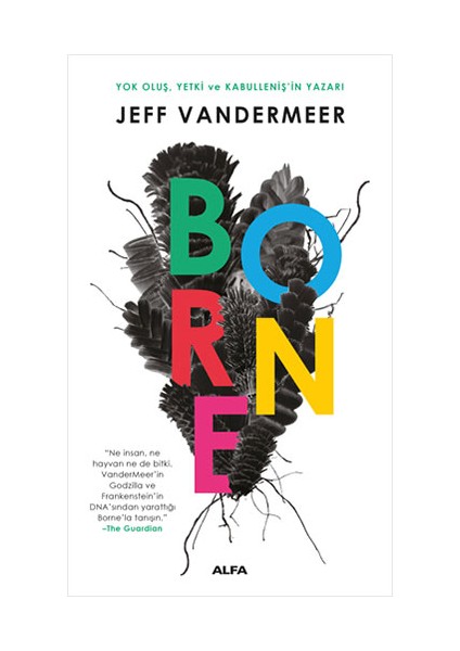 Jeff Vandermeer 4 Kitap Set + Okuma Sticker'ları