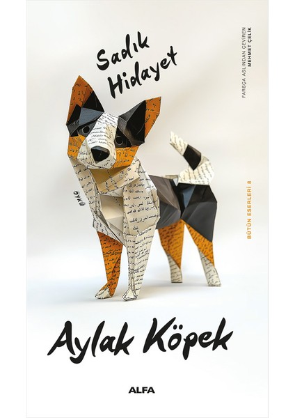 Sadık Hidayet 10 Kitap Set + Okuma Sticker'ları