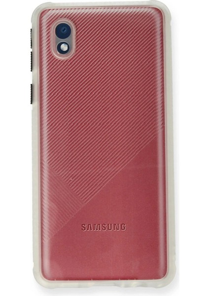 Newface Samsung Galaxy A01 Core Kılıf Miami Şeffaf Silikon - Şeffaf