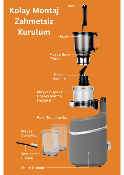 Slow Juicer Yavaş Sıkım Katı Meyve Sıkacağı Sorbe ve Dondurma