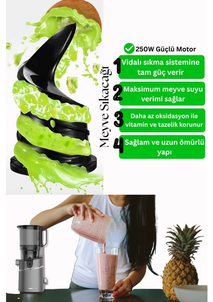 Slow Juicer Yavaş Sıkım Katı Meyve Sıkacağı Sorbe ve Dondurma