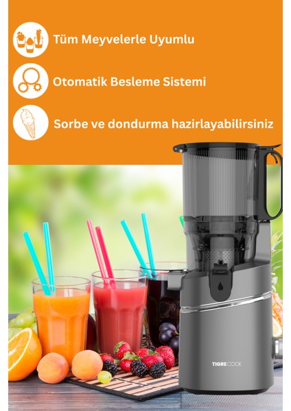 Slow Juicer Yavaş Sıkım Katı Meyve Sıkacağı Sorbe ve Dondurma