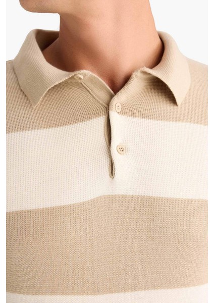 Standart Fit Polo Yaka Düğmeli Renk Bloklu Triko Kazak Y4194AZ24WN indirimleri