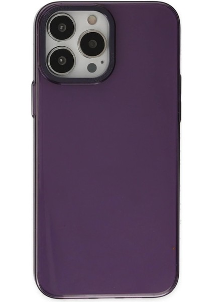 Newface iPhone 13 Pro Max Kılıf Anka Pc Sert Metal Kapak - Mor