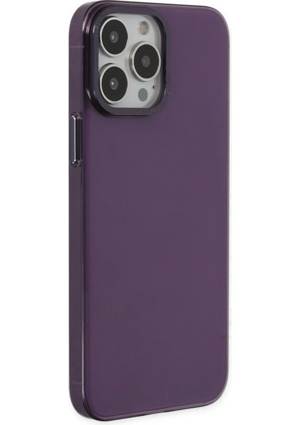 Newface iPhone 13 Pro Max Kılıf Anka Pc Sert Metal Kapak - Mor