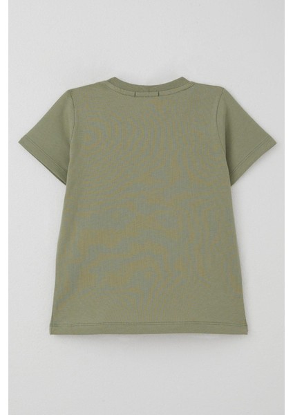 Erkek Çocuk Tişört Sörfçü Sevimli Köpek Balığı Baskılı 1.5-5 Yaş, Haki Yeşil fiyatları