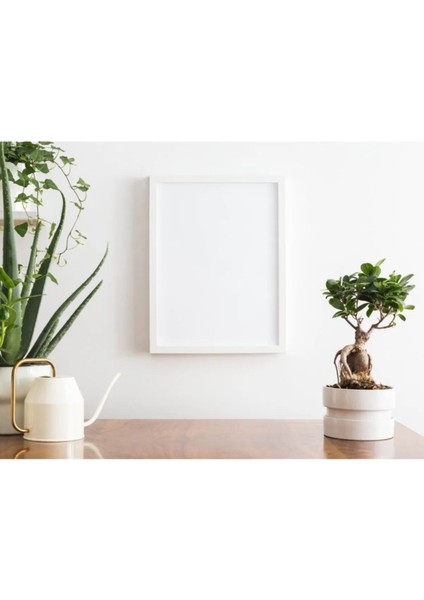 Elite A4 Çerçeve-Diploma Çerçevesi-Belge Ruhsat Serfitika ÇERÇEVESI-21X30ÇERÇEVE 1 Adet
