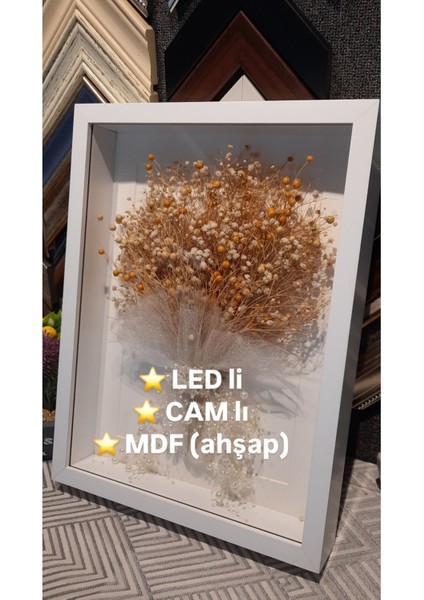 Elite 30X40X3 Düz Camlı Derinlikli Anı Çiçek Çerçevesi Gül Kutusu 1 Adet