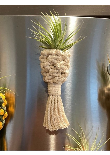 Makrome Magnet (10 Adet) fiyatları