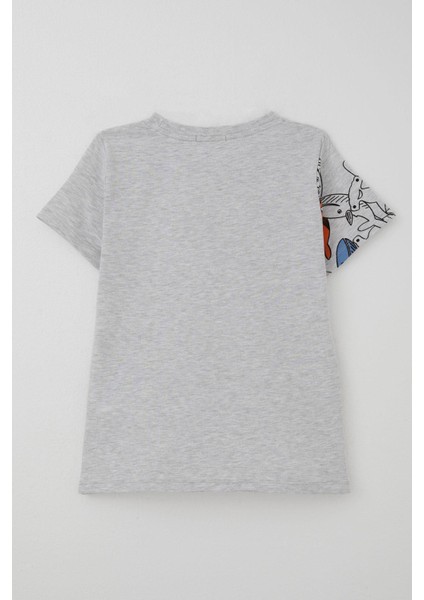 Erkek Çocuk Tişört Mavi Dünyanın Kahramanları Balinalar 5-9 Yaş, Açık Gri Melanj fiyatları