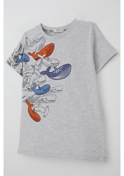 Erkek Çocuk Tişört Mavi Dünyanın Kahramanları Balinalar 5-9 Yaş, Açık Gri Melanj modelleri