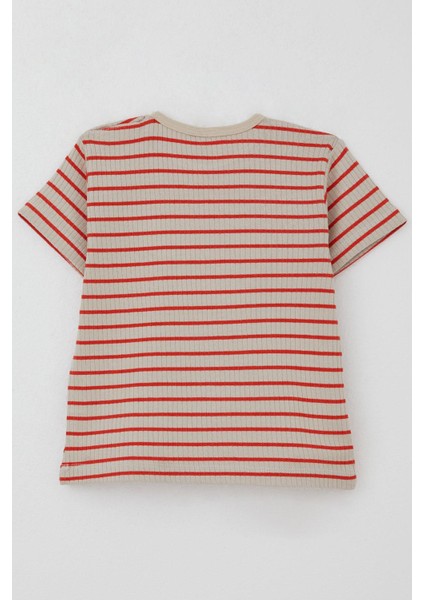 Erkek Çocuk Tişört Patlı Çizgili 1-4 Yaş, Bej fiyatları