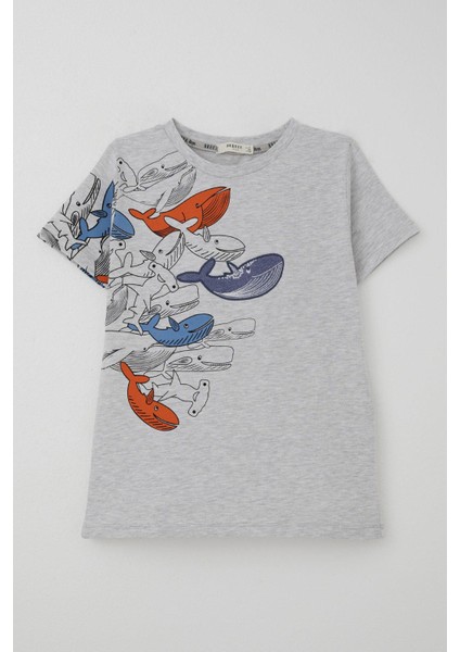 Erkek Çocuk Tişört Mavi Dünyanın Kahramanları Balinalar 5-9 Yaş, Açık Gri Melanj