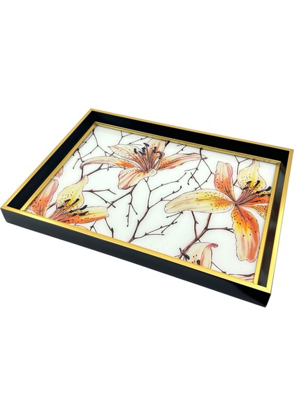 Bıanca Tepsi 46X32