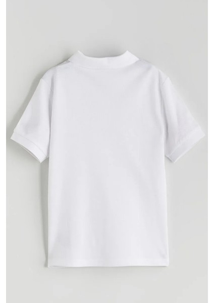 Erkek Çocuk Polo Yaka Basic Kısa Kollu Okul Tişört AK-6050 indirimleri