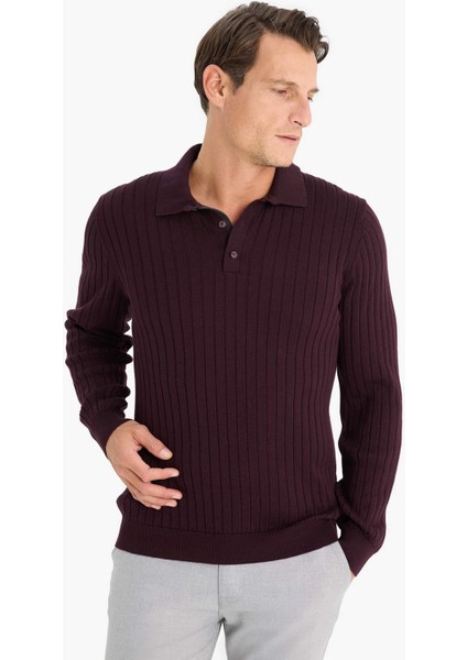 Standart Fit Polo Yaka Triko Kazak E5335AX24WN fırsatları
