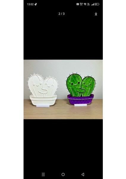 2'li Kendin Boya Eğitici Standlı Kaktüs Seti fiyatları