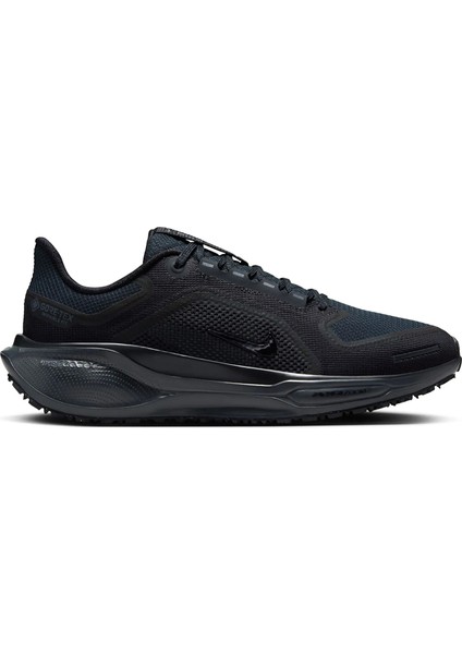 Koşu Ayakkabısı Pegasus 41 Gore-Tex FQ1357-001