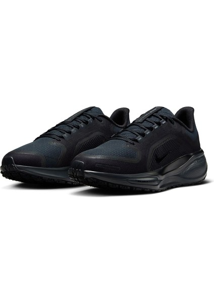Koşu Ayakkabısı Pegasus 41 Gore-Tex FQ1357-001 modelleri