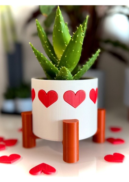 Modern Ayaklı Kalp Kaplı Kaktüs Saksı