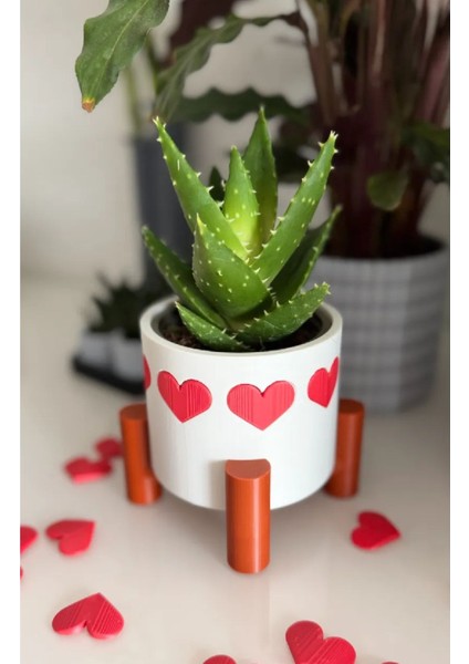 Modern Ayaklı Kalp Kaplı Kaktüs Saksı fiyatları