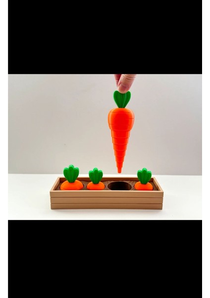 Katlanır Havuç Kasası 4'lü Mutfak Dekor