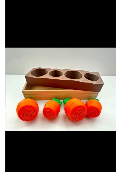 Katlanır Havuç Kasası 4'lü Mutfak Dekor modelleri