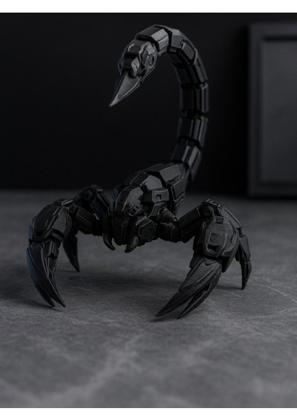 Akrep Biblo Ev Ofis Dekor