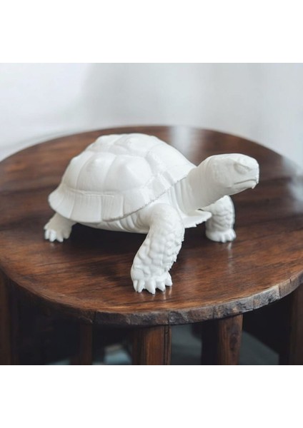 Kaplumbağa Biblo Heykel 3D Baskı Masa Üstü Dekoratif Obje 10X10X8 cm
