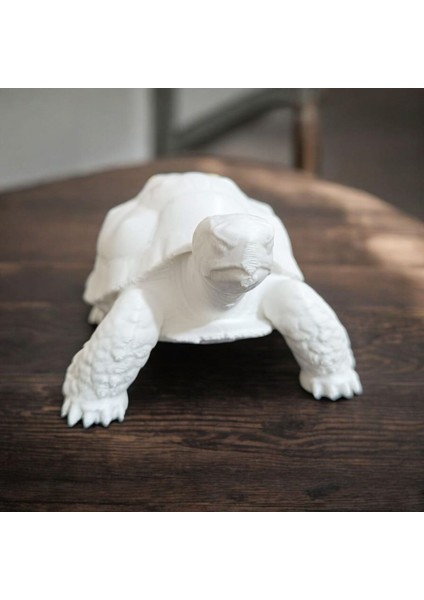 Kaplumbağa Biblo Heykel 3D Baskı Masa Üstü Dekoratif Obje 10X10X8 cm