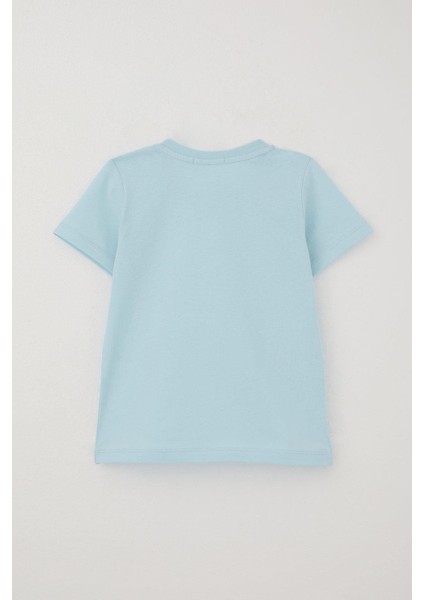 Erkek Bebek Şortlu Takım Oyuncak Bebek Ayıcık Baskılı 9 Ay-3 Yaş, Açık Mavi fırsatları