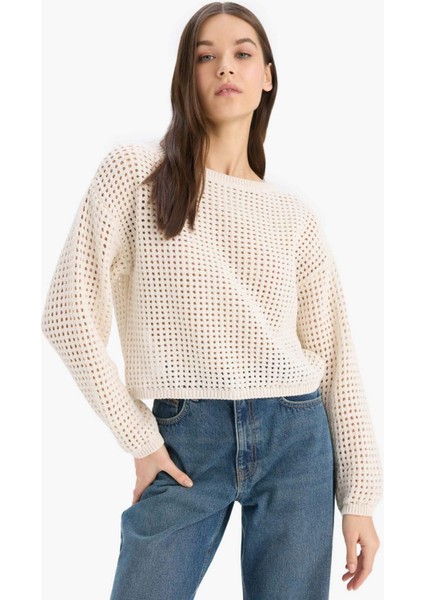 Regular Fit Bisiklet Yaka Kroşe Triko Kazak T4513AZ25SP modelleri