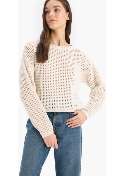 Regular Fit Bisiklet Yaka Kroşe Triko Kazak T4513AZ25SP fırsatları