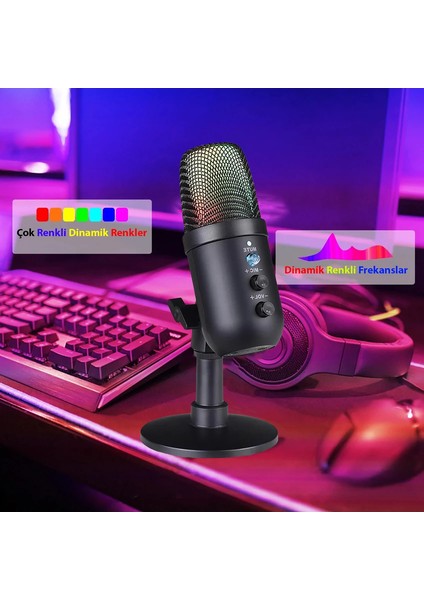 Profesyonel Kardioid Rgb Işık Oyuncu Stüdyo Kayıt Kablolu Podcast Mikrofonu USB Mikrofon