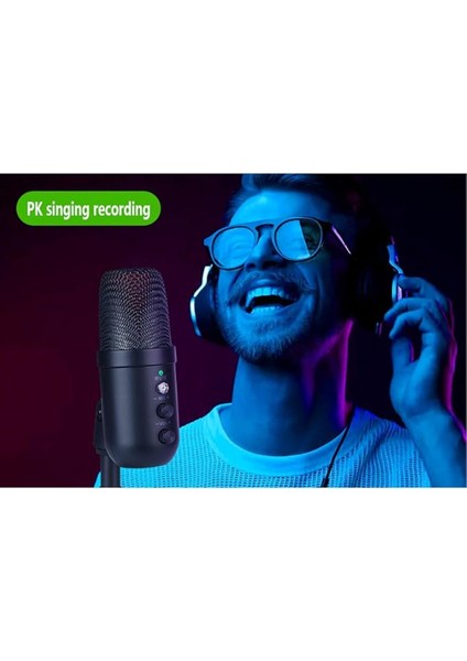 Profesyonel Kardioid Rgb Işık Oyuncu Stüdyo Kayıt Kablolu Podcast Mikrofonu USB Mikrofon