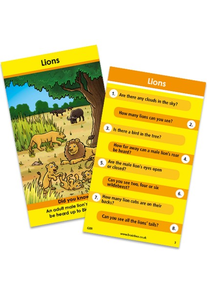 GreenBoard BrainBox Seksek Hayvanlar (Bounce Animals) modelleri