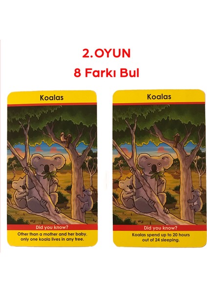 GreenBoard BrainBox Seksek Hayvanlar (Bounce Animals) fırsatları