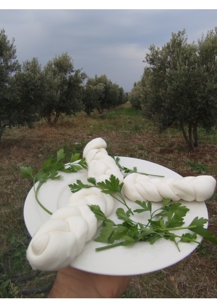 Hatay Yöresel Örgü Peyniri 1kg