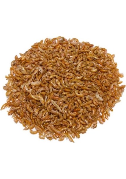 Gammarus 50 gr Kaplumbağa ve Balık Yemi