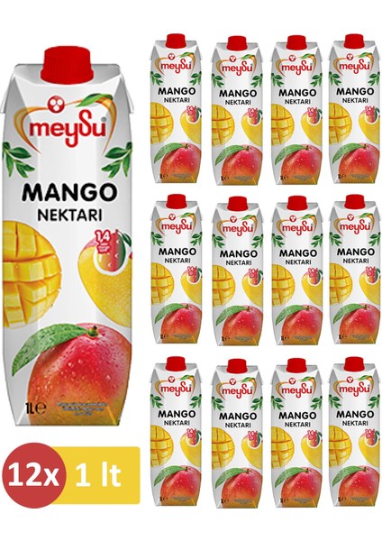 Mango Meyve Nektarı 1 Lt x 12 Adet