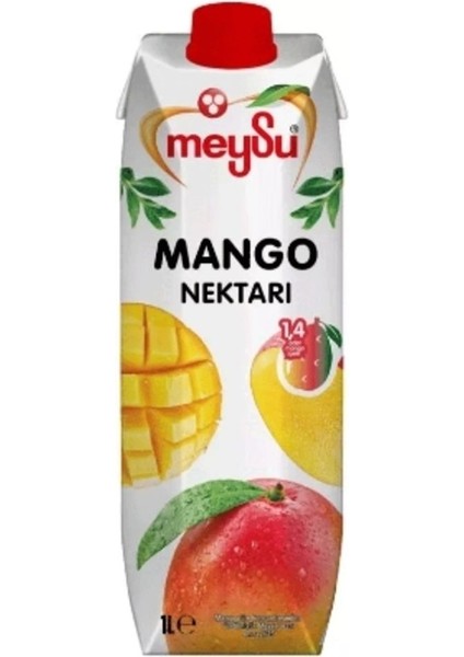 Mango Meyve Nektarı 1 Lt x 12 Adet fiyatları