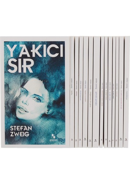 Stefan Zweig Seti 14 Kitap (Yakıcı Sır, Ay Işığı Sokağı, Bir Çöküşün Öyküsü, Bir Kalbin Çöküşü, Gömülü Şamdan, Hayatın Mucizeler)