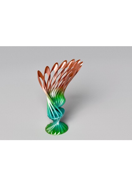Torus Spiral | Kaliteli ve Eğlenceli Oyuncak THN6481449