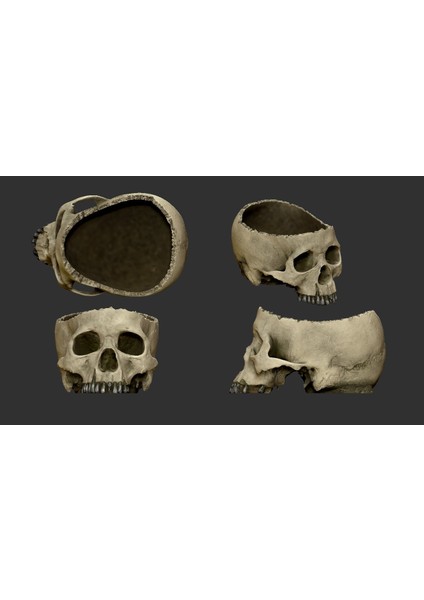 Cadılar Bayramı Kafatası Kasesi THN2554190 fiyatları