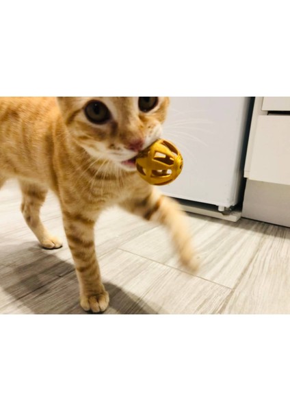 Kedi Oyuncak Topu THN5793409
