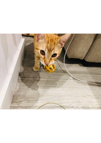 Kedi Oyuncak Topu THN5793409